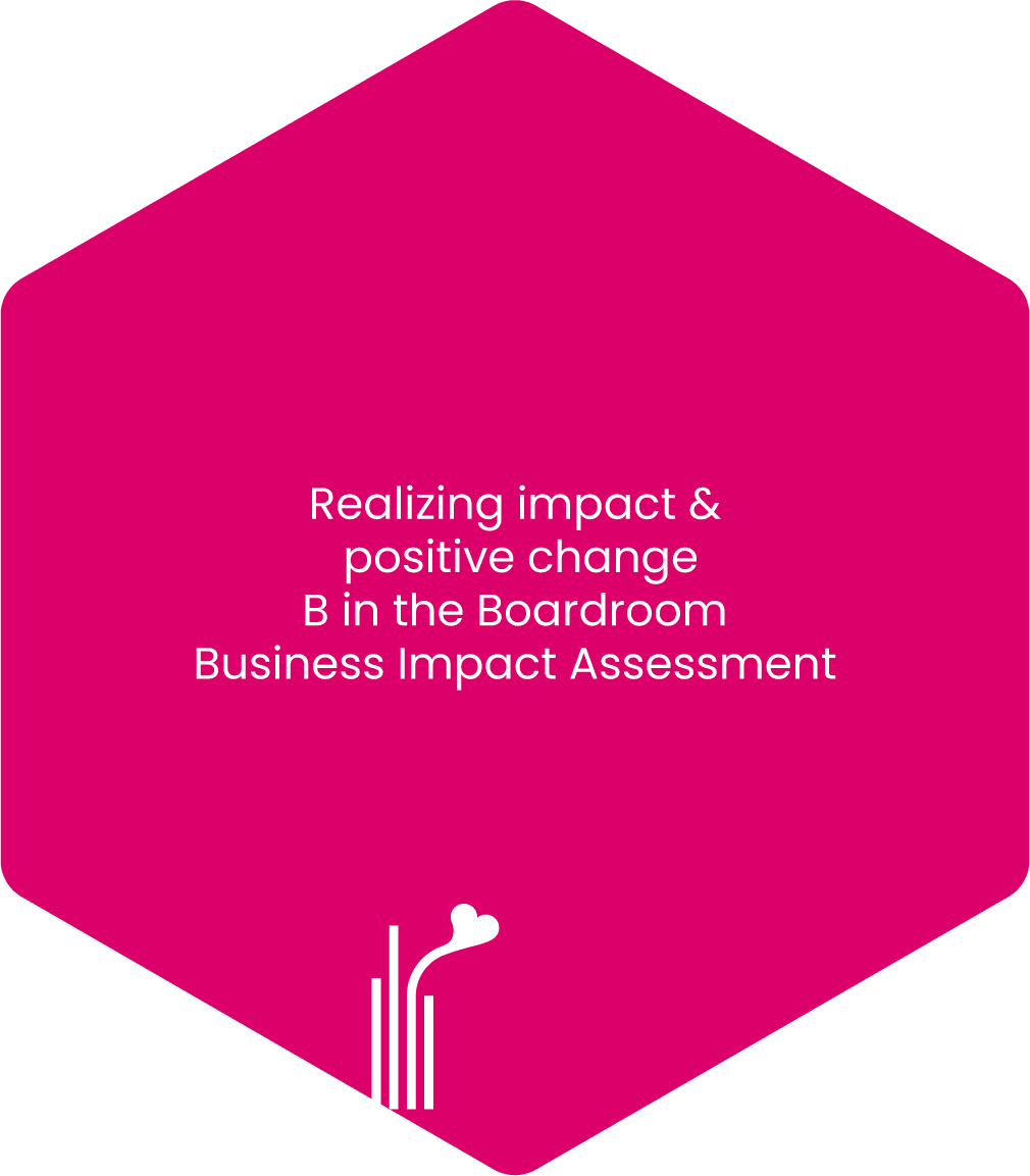 B Corp Journey, back